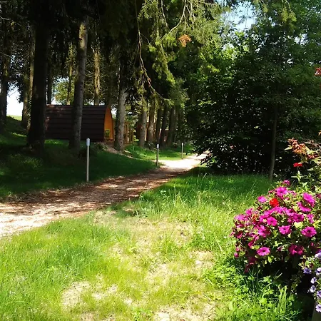 Holiday home Les De La Petite Sapiniere Voussac