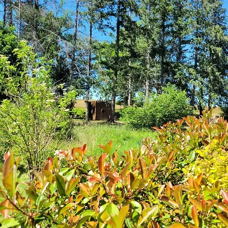 Holiday home Les De La Petite Sapiniere