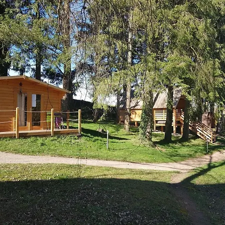 Les De La Petite Sapiniere Holiday home *